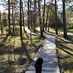 Apartamentai 